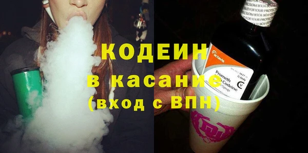 индика Горно-Алтайск