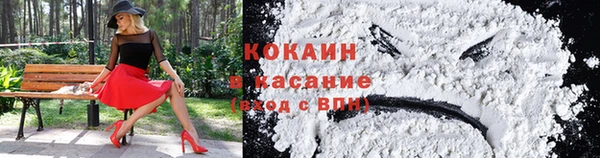 индика Горно-Алтайск