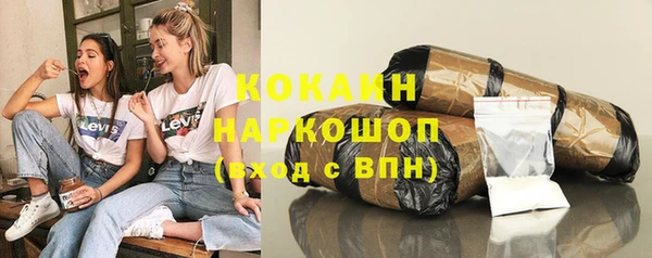 дживик Горняк