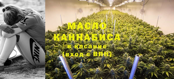 индика Горно-Алтайск