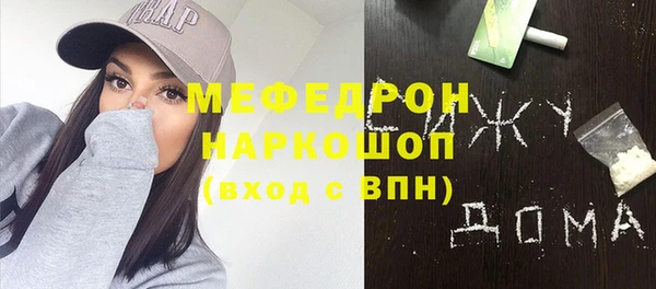 индика Горно-Алтайск