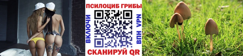 Псилоцибиновые грибы Magic Shrooms  купить наркотики сайты  Сельцо 