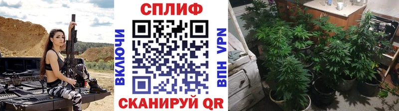 Бошки Шишки марихуана  мега ONION  Сельцо 